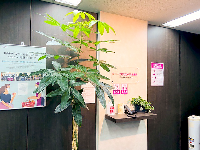 【名古屋駅前・桜通口会議室】ホワイエの観葉植物【ストレス緩和】